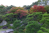 p1010617.jpg