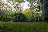p1010631.jpg