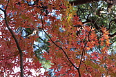 p1010645.jpg