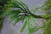 p1010647.jpg