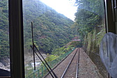 p1010660.jpg