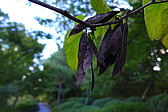 p1010697.jpg