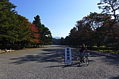 p1010773.jpg