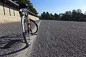 p1010780.jpg