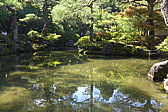 p1010799.jpg