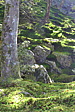 p1010803.jpg