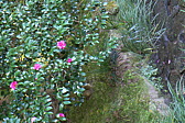 p1010812.jpg