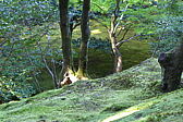 p1010814.jpg