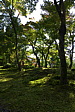 p1010847.jpg