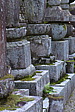 p1010855.jpg
