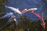 p1010867.jpg