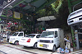 p1010874.jpg