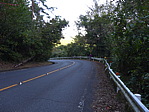 p1010876.jpg