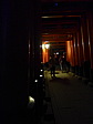 p1010903.jpg