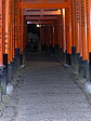 p1010914.jpg