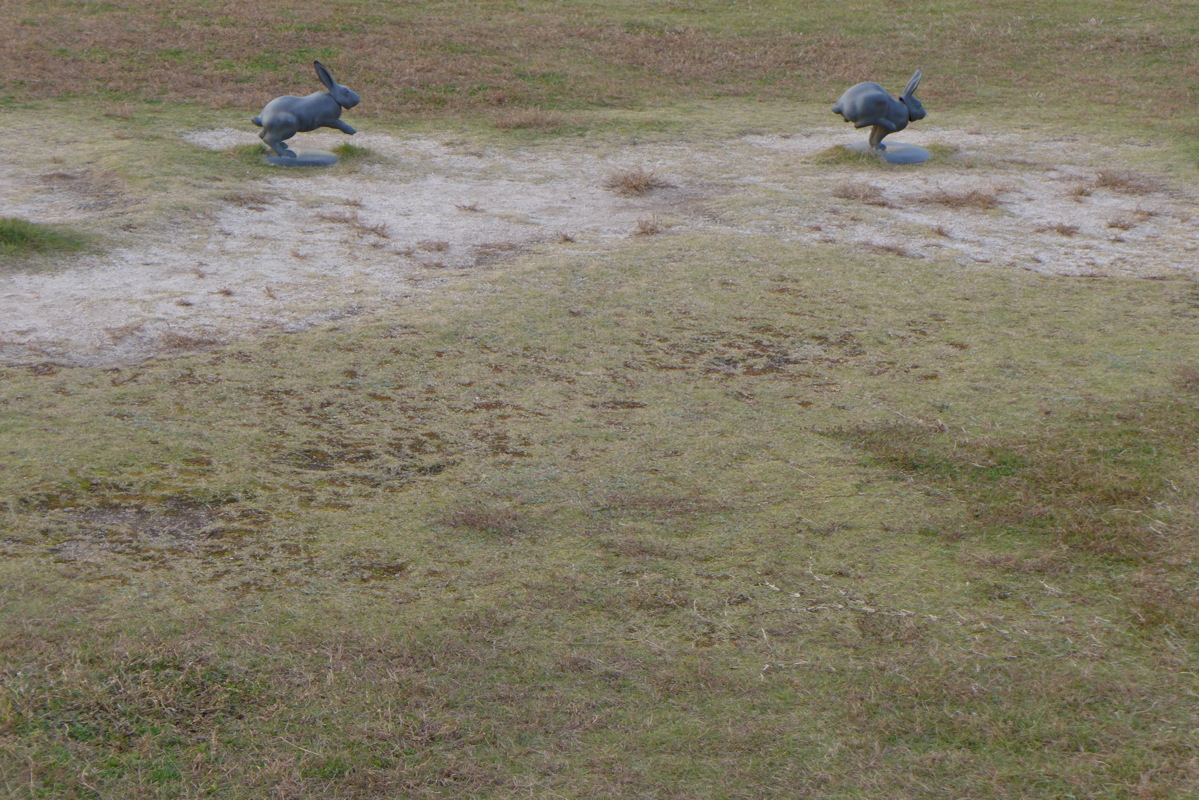 p1020004.jpg