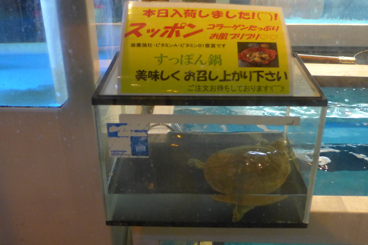 p1020019.jpg