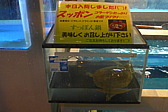 p1020019.jpg