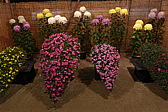 p1020029.jpg