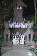 p1020062.jpg