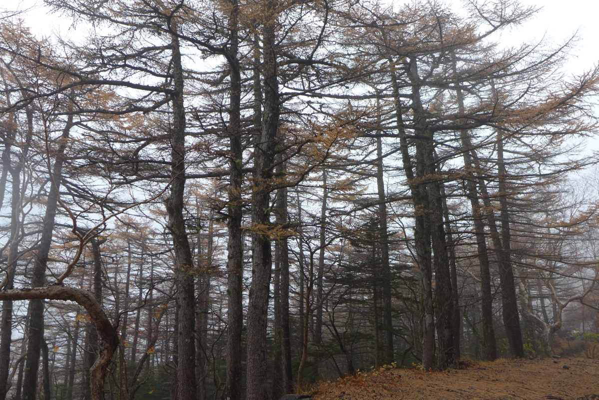 p1020120.jpg