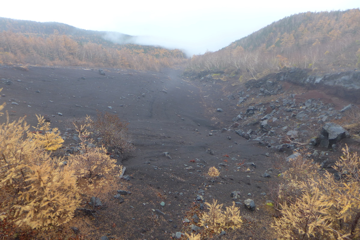 p1020121.jpg