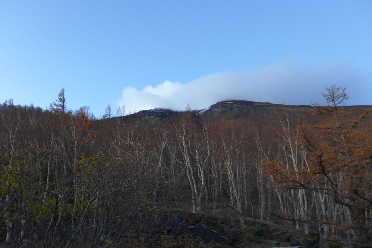 p1020134.jpg