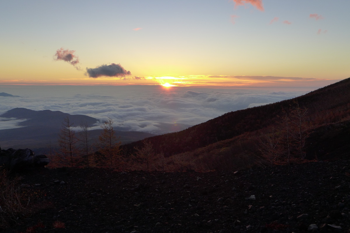 p1020135.jpg