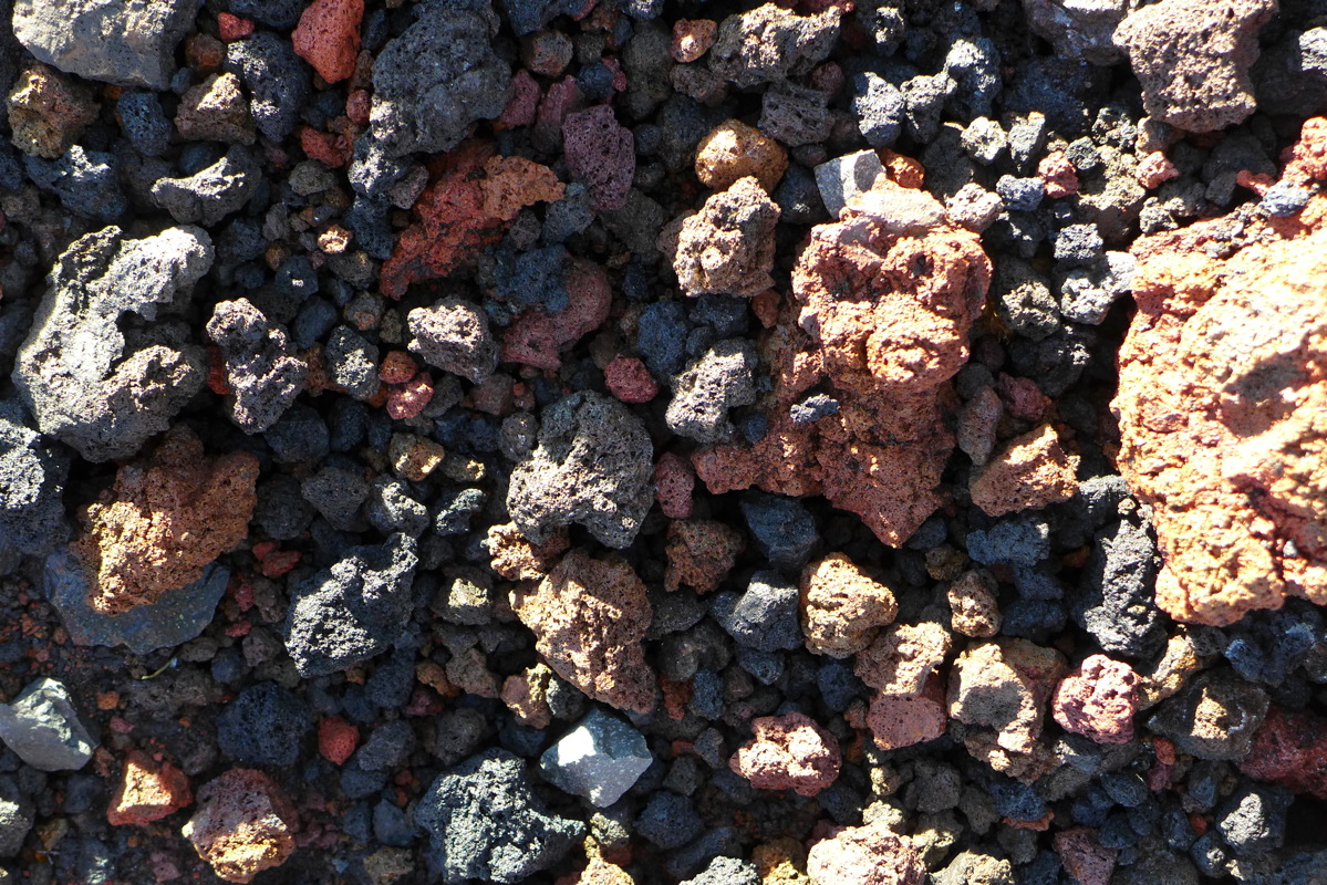 p1020146.jpg