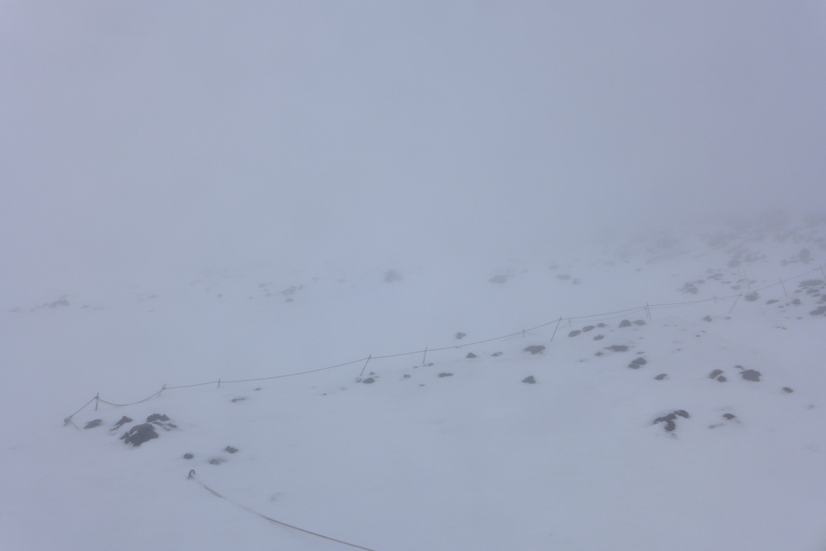 p1020149.jpg