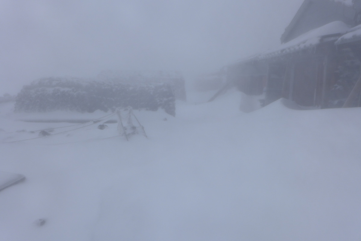 p1020152.jpg