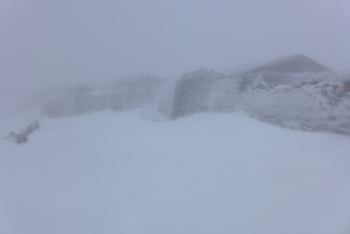 p1020153.jpg