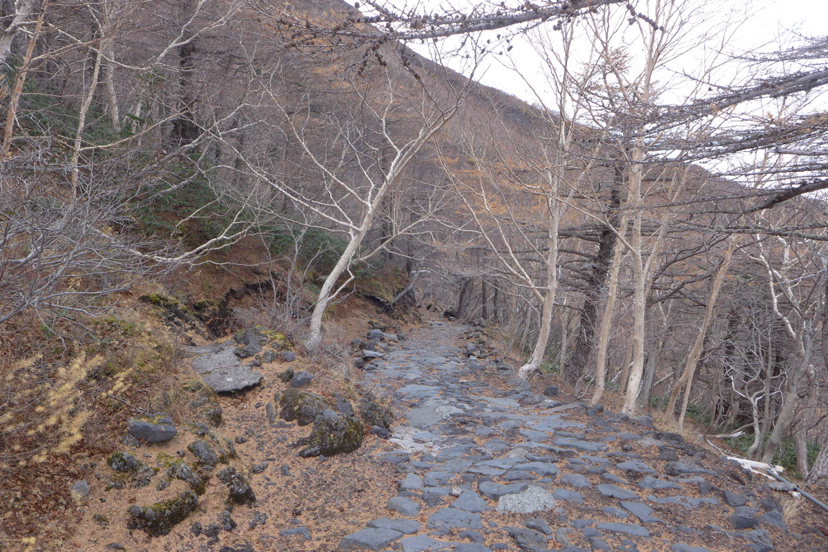 p1020158.jpg