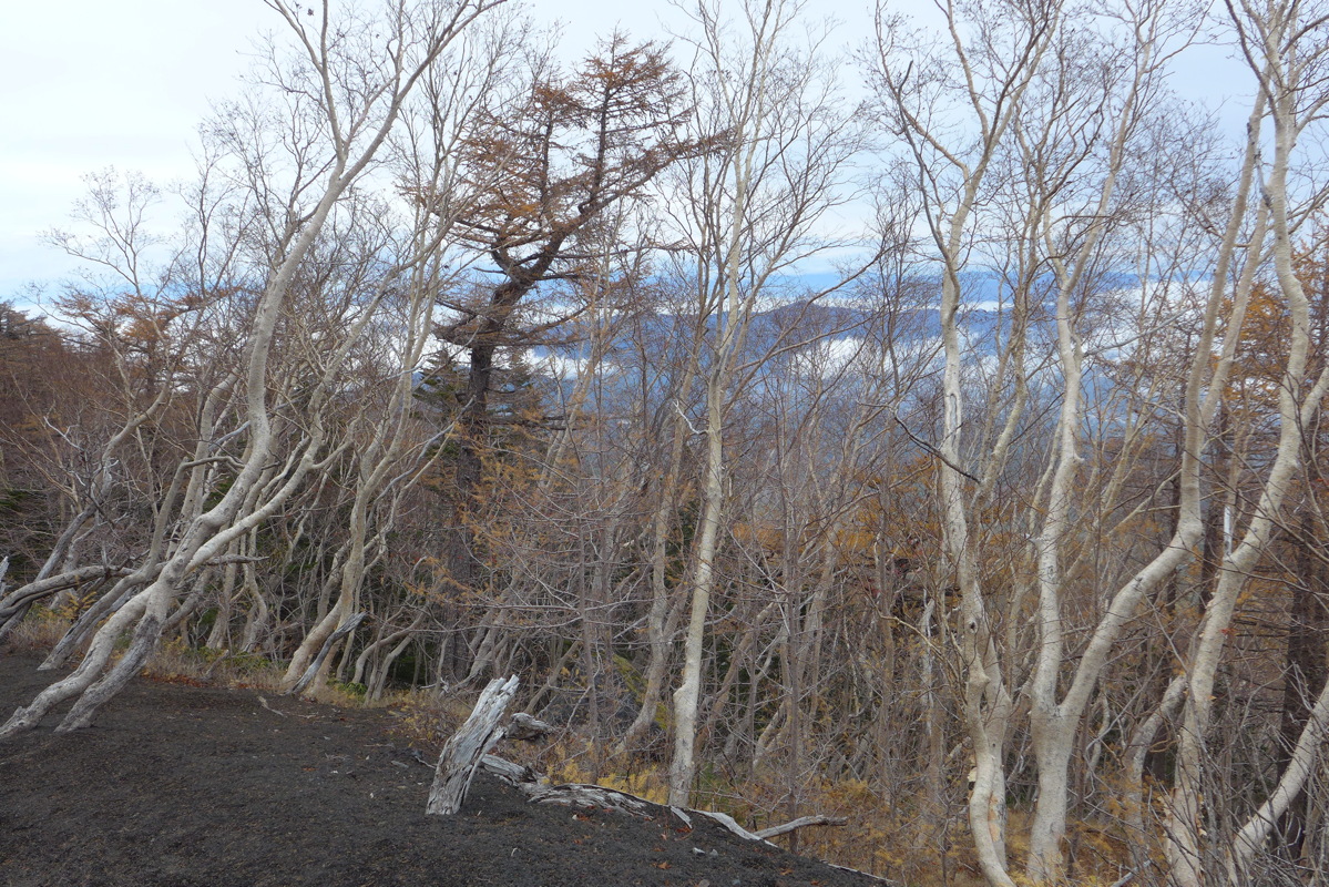 p1020159.jpg