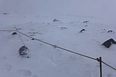 p1020150.jpg