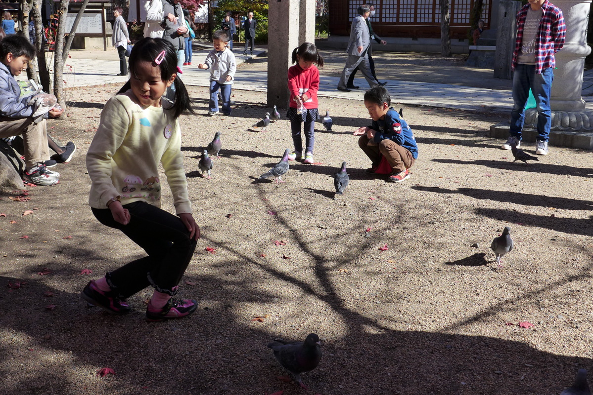 p1020193.jpg
