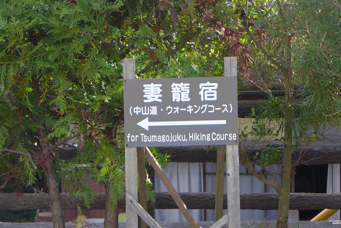 p1020211.jpg