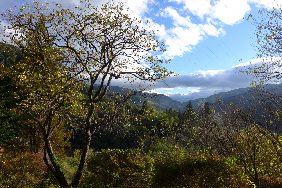 p1020230.jpg