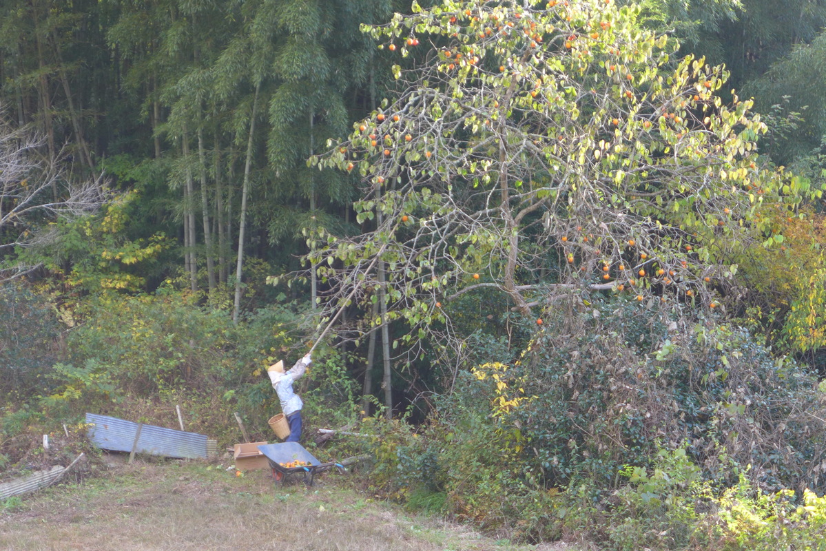 p1020232.jpg