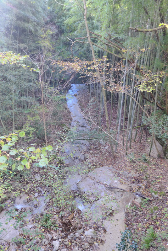 p1020234.jpg