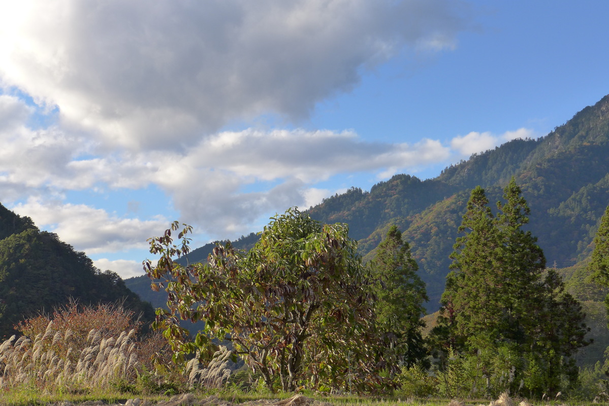 p1020240.jpg