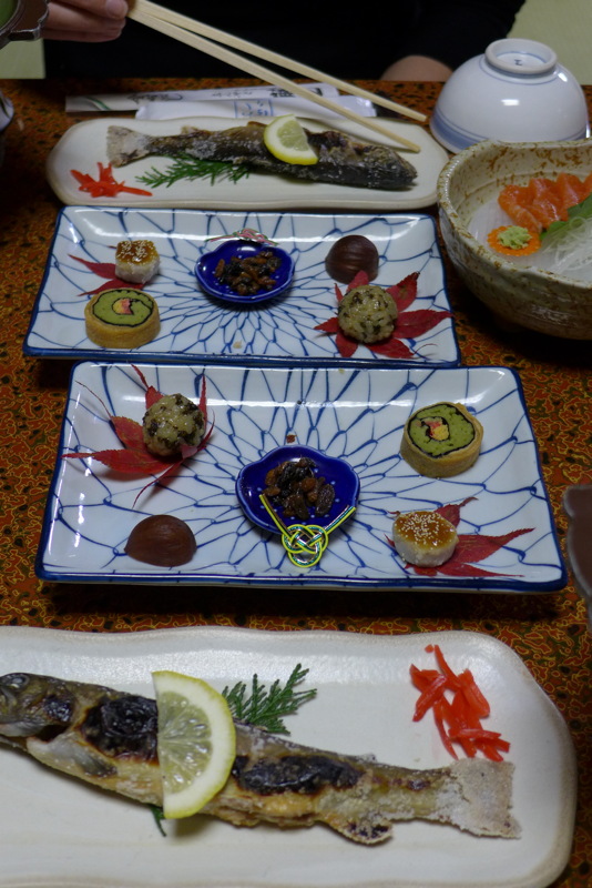 p1020261.jpg