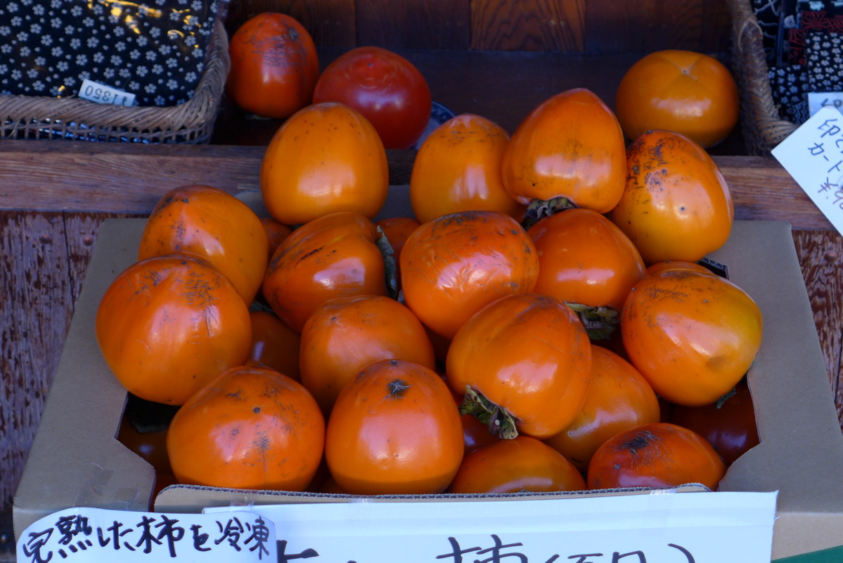 p1020266.jpg