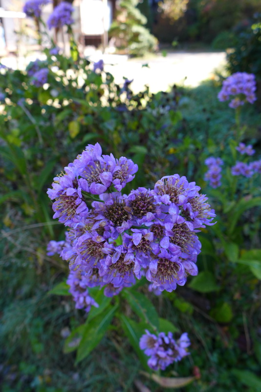 p1020276.jpg