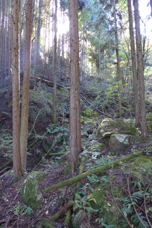 p1020291.jpg