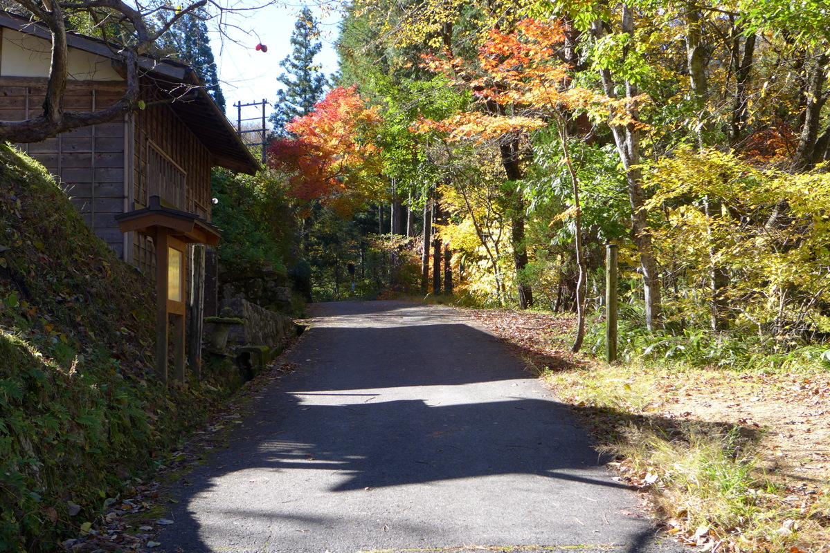 p1020304.jpg