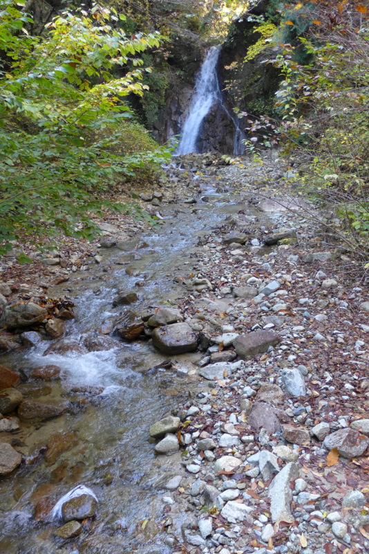 p1020312.jpg