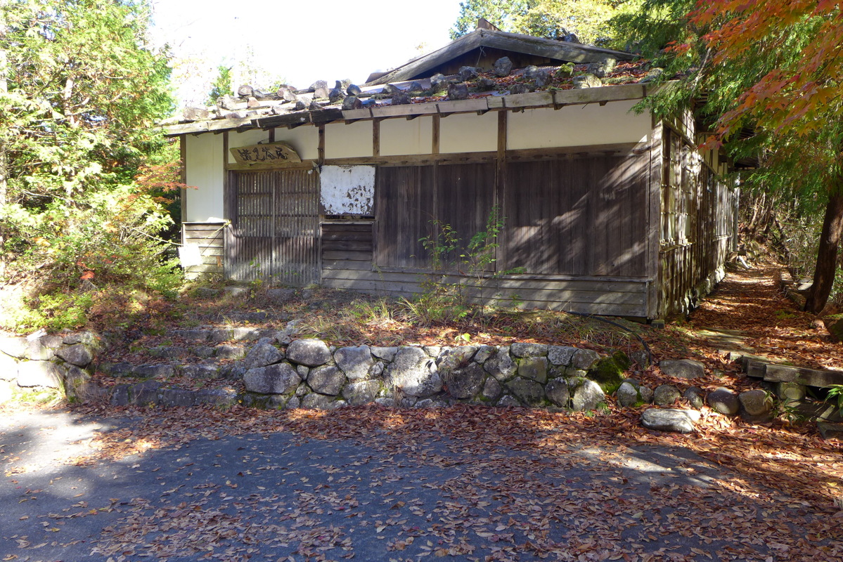p1020315.jpg