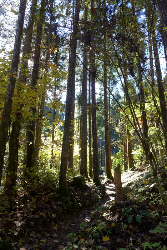 p1020319.jpg