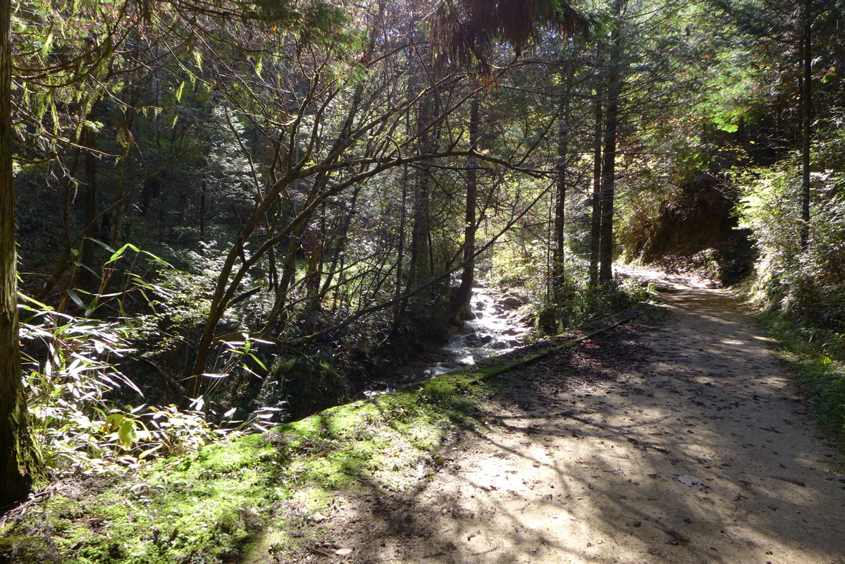 p1020320.jpg